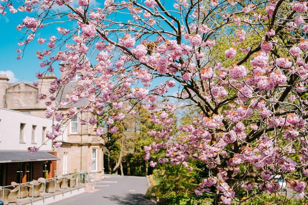Lynnhurst Hotel Johnstone Esterno foto
